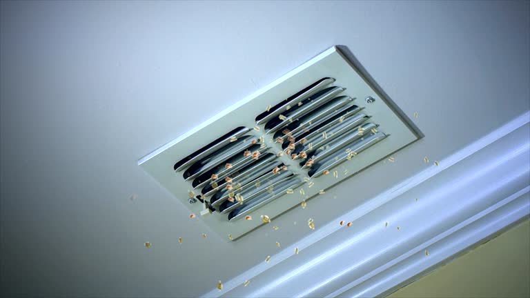 Best HVAC System Cleaning  in Nashotah, WI